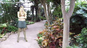 www.gtszone.com - ShrunkenWoman  380  Suzi thumbnail